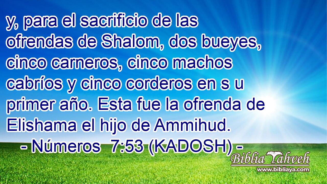  y, para el sacrificio de las ofrendas de Shalom, dos bueyes, cinco carneros, cinco machos cabríos y cinco corderos en s u primer año. Esta fue la ofrenda de Elishama el hijo de Ammihud. 