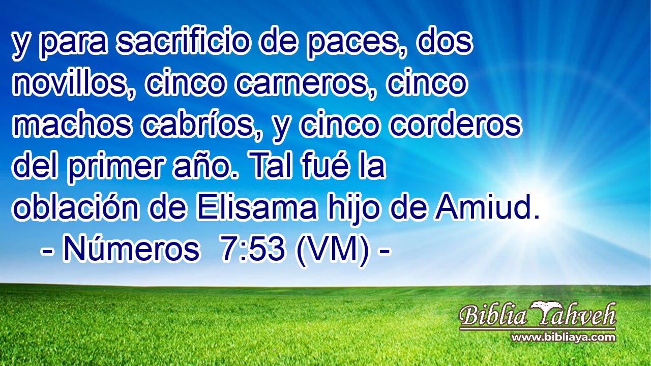  y para sacrificio de paces, dos novillos, cinco carneros, cinco machos cabríos, y cinco corderos del primer año. Tal fué la oblación de Elisama hijo de Amiud. 