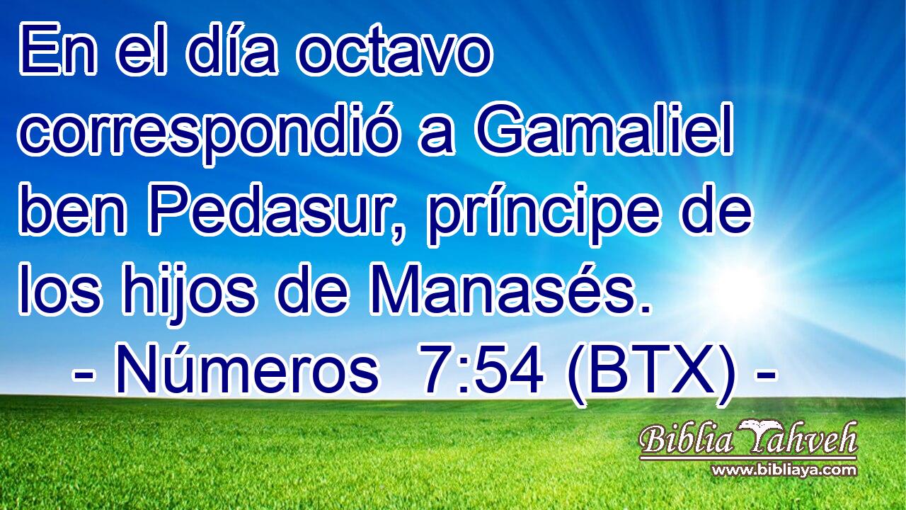 En el día octavo correspondió a Gamaliel ben Pedasur, príncipe de los hijos de Manasés.