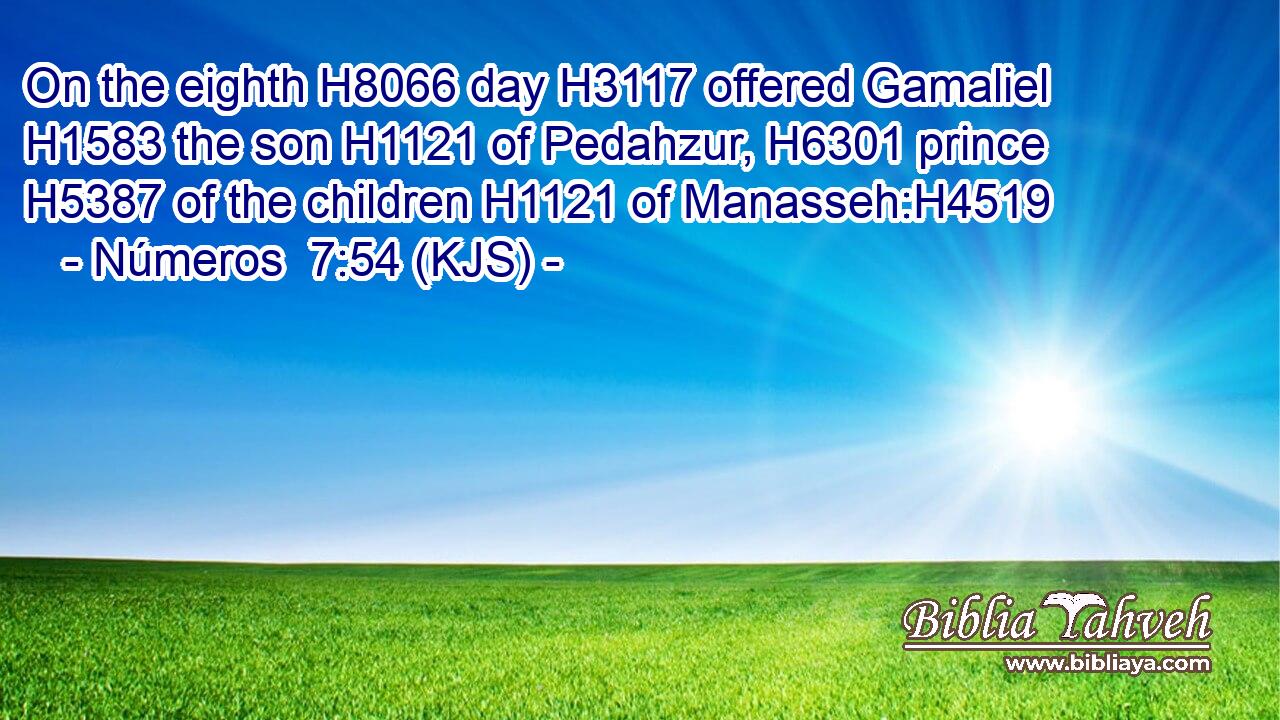 On the eighth H8066 day H3117 offered Gamaliel H1583 the son H1121 of Pedahzur, H6301 prince H5387 of the children H1121 of Manasseh:H4519