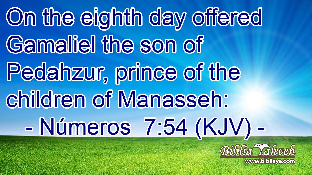 On the eighth day offered Gamaliel the son of Pedahzur, prince of the children of Manasseh: