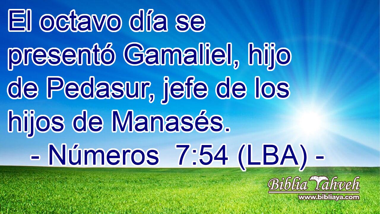 El octavo día se presentó Gamaliel, hijo de Pedasur, jefe de los hijos de Manasés.