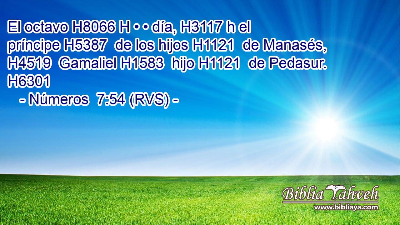 El octavo H8066 H • • día, H3117 h el príncipe H5387  de los hijos H1121  de Manasés, H4519  Gamaliel H1583  hijo H1121  de Pedasur. H6301  