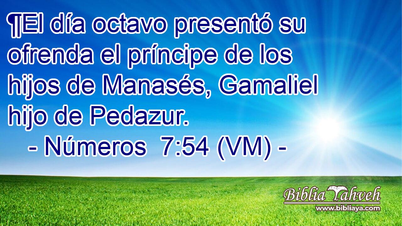  ¶El día octavo presentó su ofrenda el príncipe de los hijos de Manasés, Gamaliel hijo de Pedazur. 
