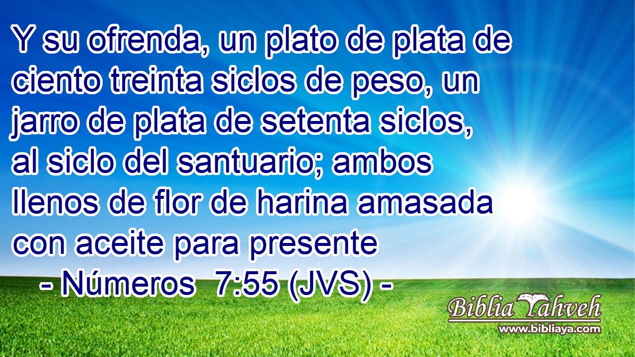 Y su ofrenda, un plato de plata de ciento treinta siclos de peso, un jarro de plata de setenta siclos, al siclo del santuario; ambos llenos de flor de harina amasada con aceite para presente