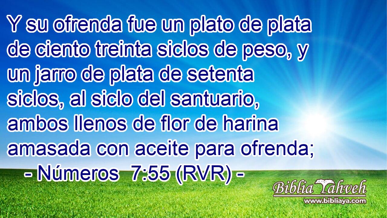 Y su ofrenda fue un plato de plata de ciento treinta siclos de peso, y un jarro de plata de setenta siclos, al siclo del santuario, ambos llenos de flor de harina amasada con aceite para ofrenda;
