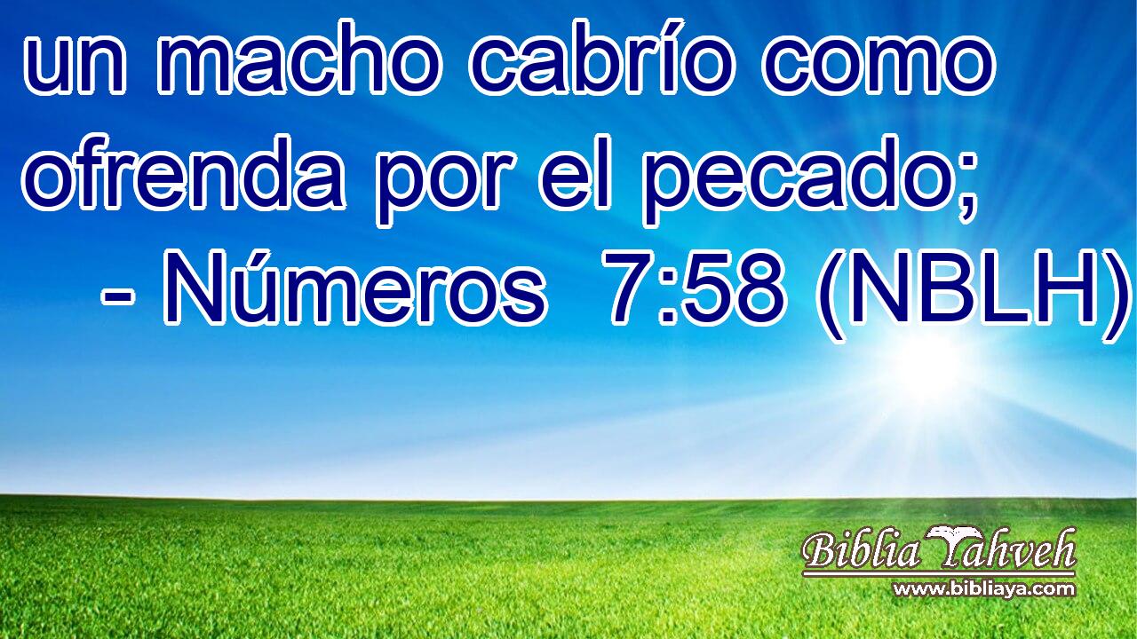 un macho cabrío como ofrenda por el pecado; 