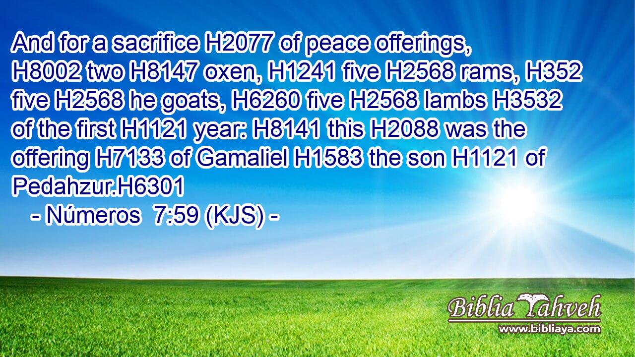 And for a sacrifice H2077 of peace offerings, H8002 two H8147 oxen, H1241 five H2568 rams, H352 five H2568 he goats, H6260 five H2568 lambs H3532 of the first H1121 year: H8141 this H2088 was the offering H7133 of Gamaliel H1583 the son H1121 of Pedahzur.H6301