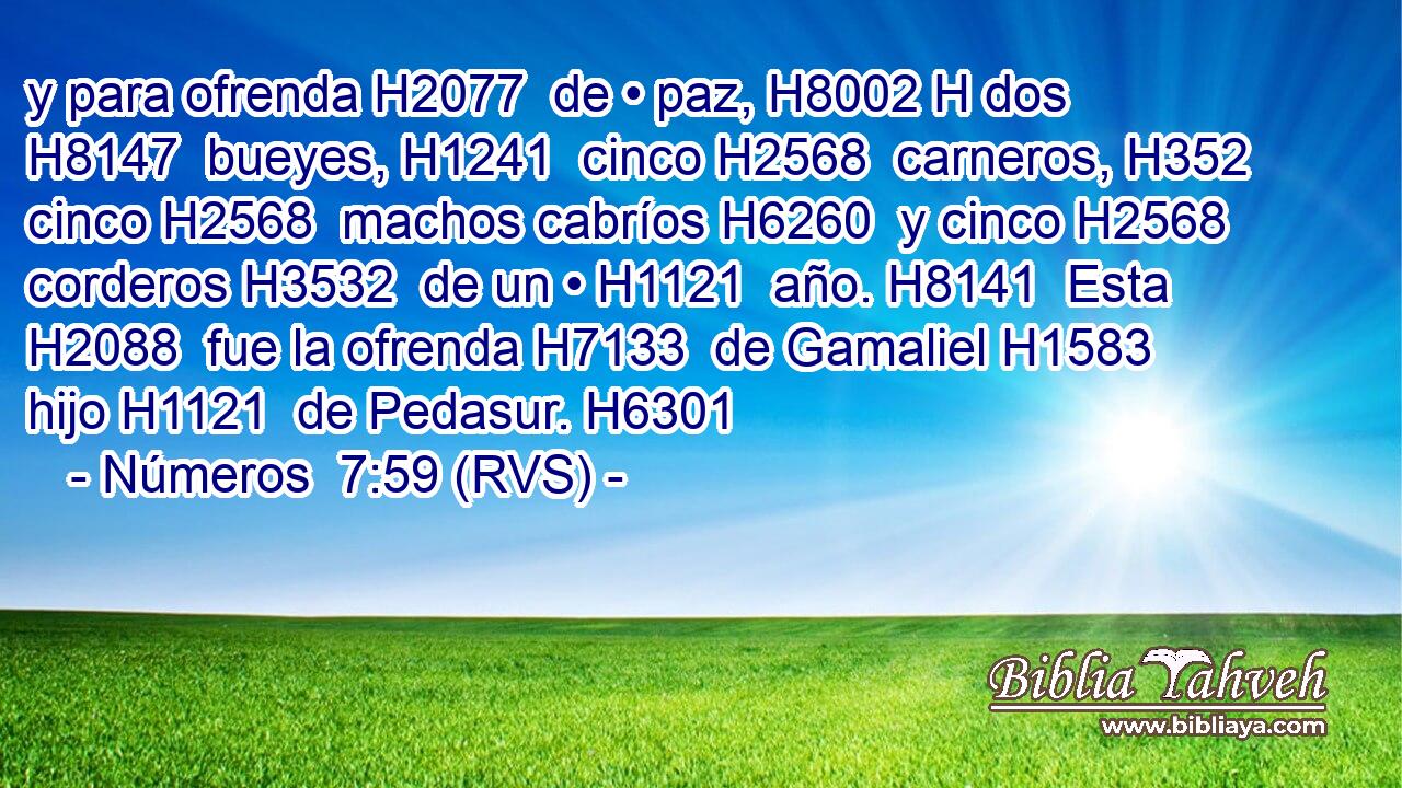 y para ofrenda H2077  de • paz, H8002 H dos H8147  bueyes, H1241  cinco H2568  carneros, H352  cinco H2568  machos cabríos H6260  y cinco H2568  corderos H3532  de un • H1121  año. H8141  Esta H2088  fue la ofrenda H7133  de Gamaliel H1583  hijo H1121  de Pedasur. H6301  