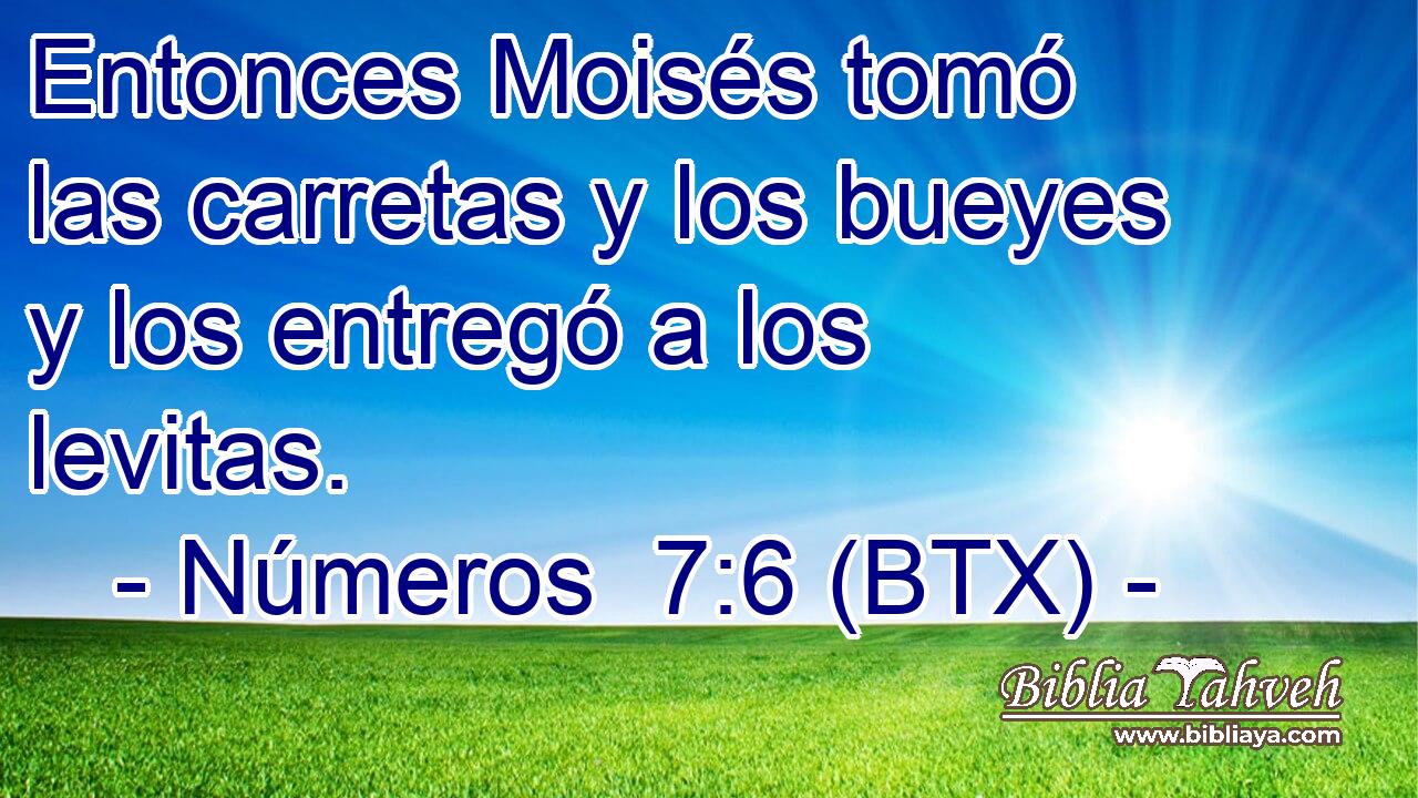 Entonces Moisés tomó las carretas y los bueyes y los entregó a los levitas.