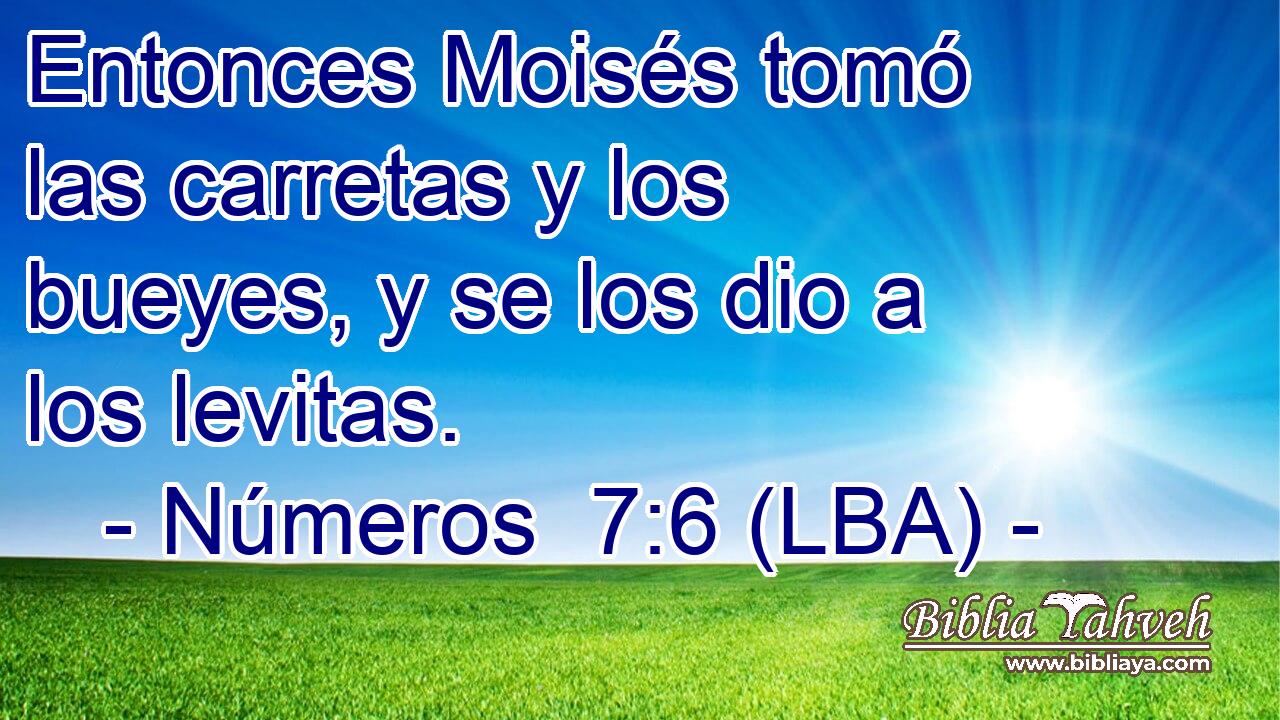Entonces Moisés tomó las carretas y los bueyes, y se los dio a los levitas.