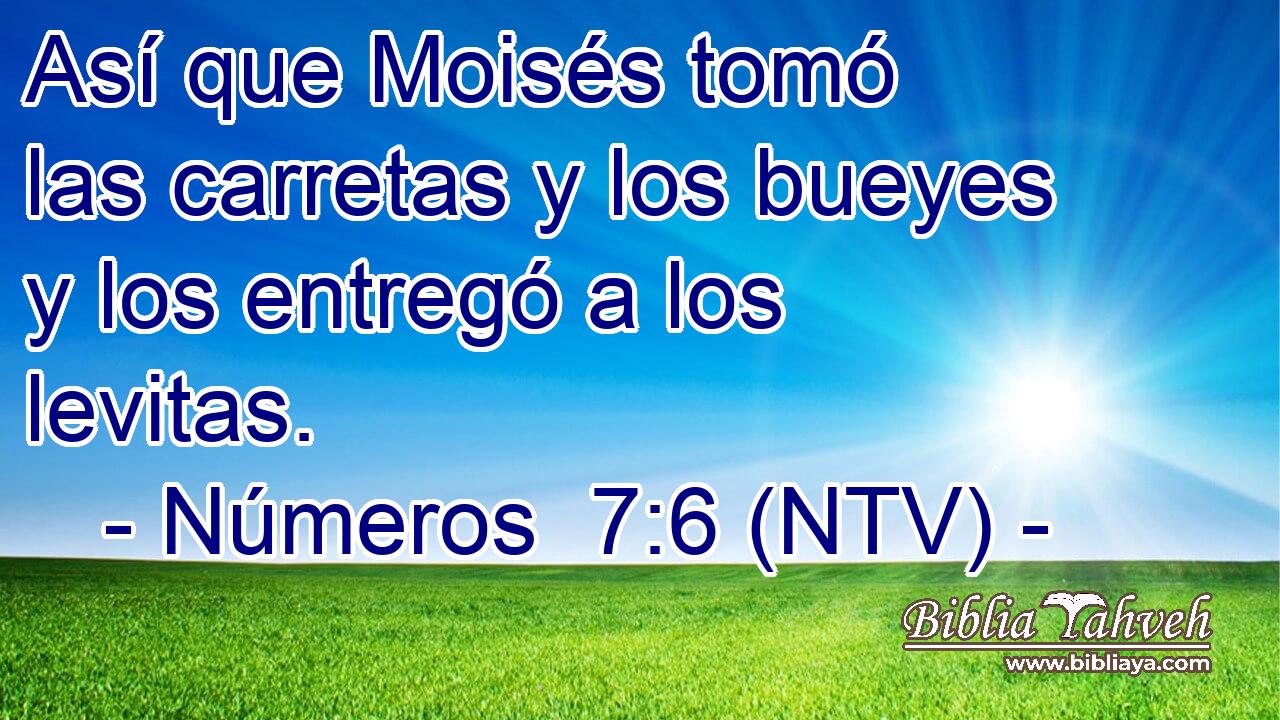 Así que Moisés tomó las carretas y los bueyes y los entregó a los levitas.