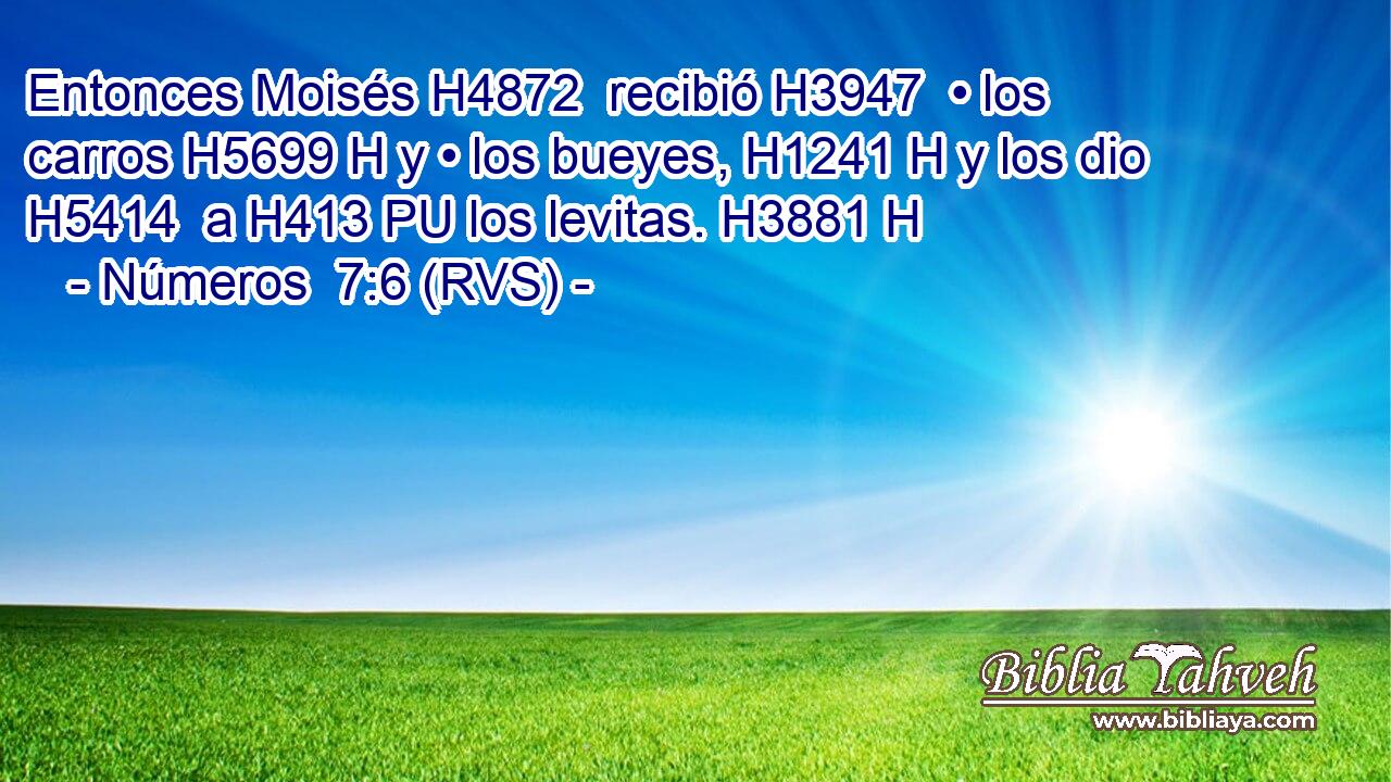Entonces Moisés H4872  recibió H3947  • los carros H5699 H y • los bueyes, H1241 H y los dio H5414  a H413 PU los levitas. H3881 H 