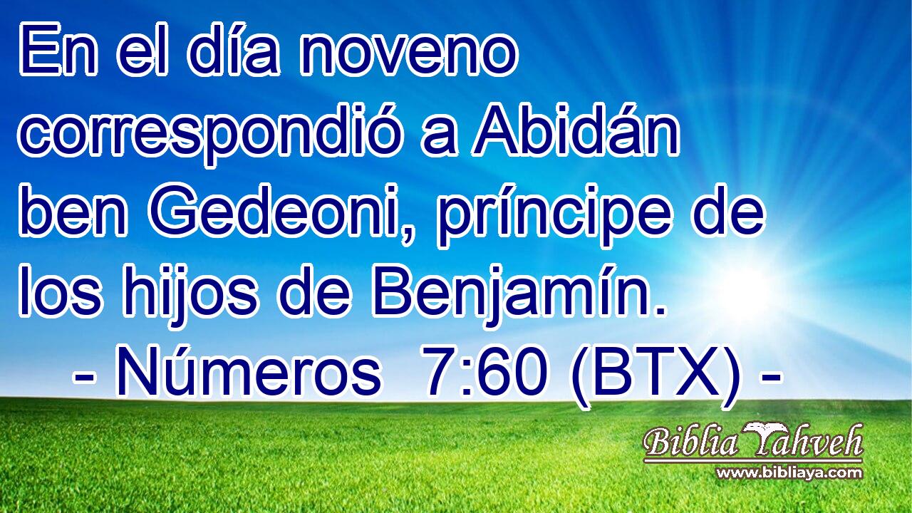 En el día noveno correspondió a Abidán ben Gedeoni, príncipe de los hijos de Benjamín.