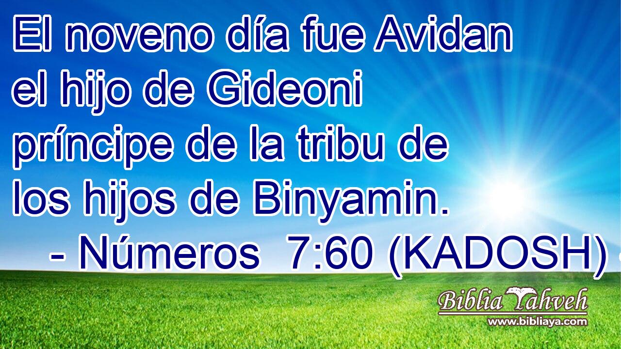  El noveno día fue Avidan el hijo de Gideoni príncipe de la tribu de los hijos de Binyamin. 