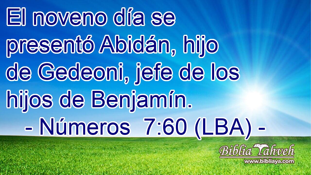 El noveno día se presentó Abidán, hijo de Gedeoni, jefe de los hijos de Benjamín.