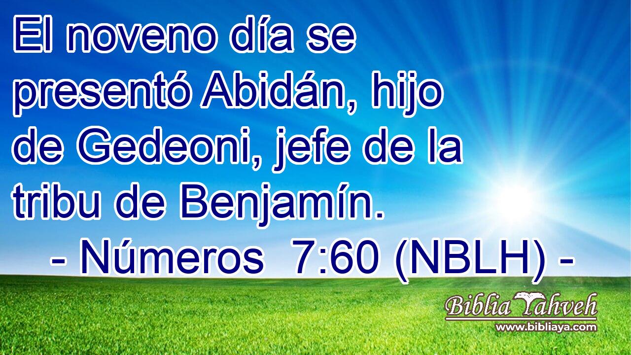  El noveno día se presentó Abidán, hijo de Gedeoni, jefe de la tribu de Benjamín. 