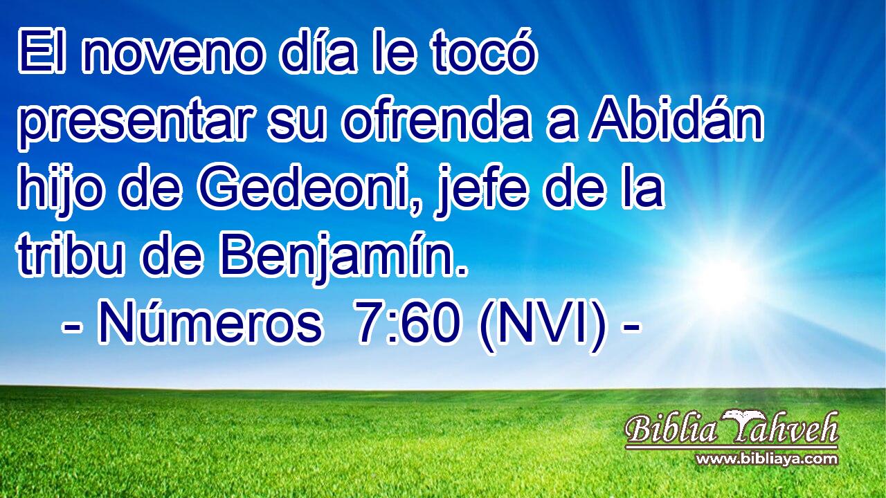  El noveno día le tocó presentar su ofrenda a Abidán hijo de Gedeoni, jefe de la tribu de Benjamín. 