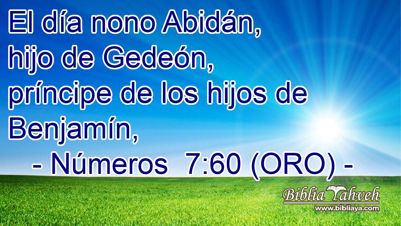  El día nono Abidán, hijo de Gedeón, príncipe de los hijos de Benjamín, 