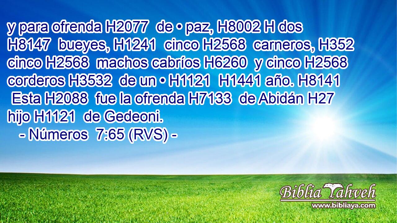 y para ofrenda H2077  de • paz, H8002 H dos H8147  bueyes, H1241  cinco H2568  carneros, H352  cinco H2568  machos cabríos H6260  y cinco H2568  corderos H3532  de un • H1121  H1441 año. H8141  Esta H2088  fue la ofrenda H7133  de Abidán H27  hijo H1121  de Gedeoni. 