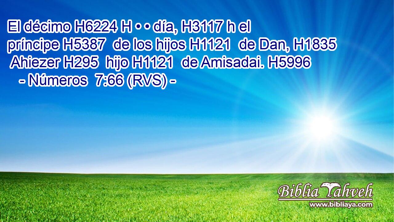 El décimo H6224 H • • día, H3117 h el príncipe H5387  de los hijos H1121  de Dan, H1835  Ahiezer H295  hijo H1121  de Amisadai. H5996  