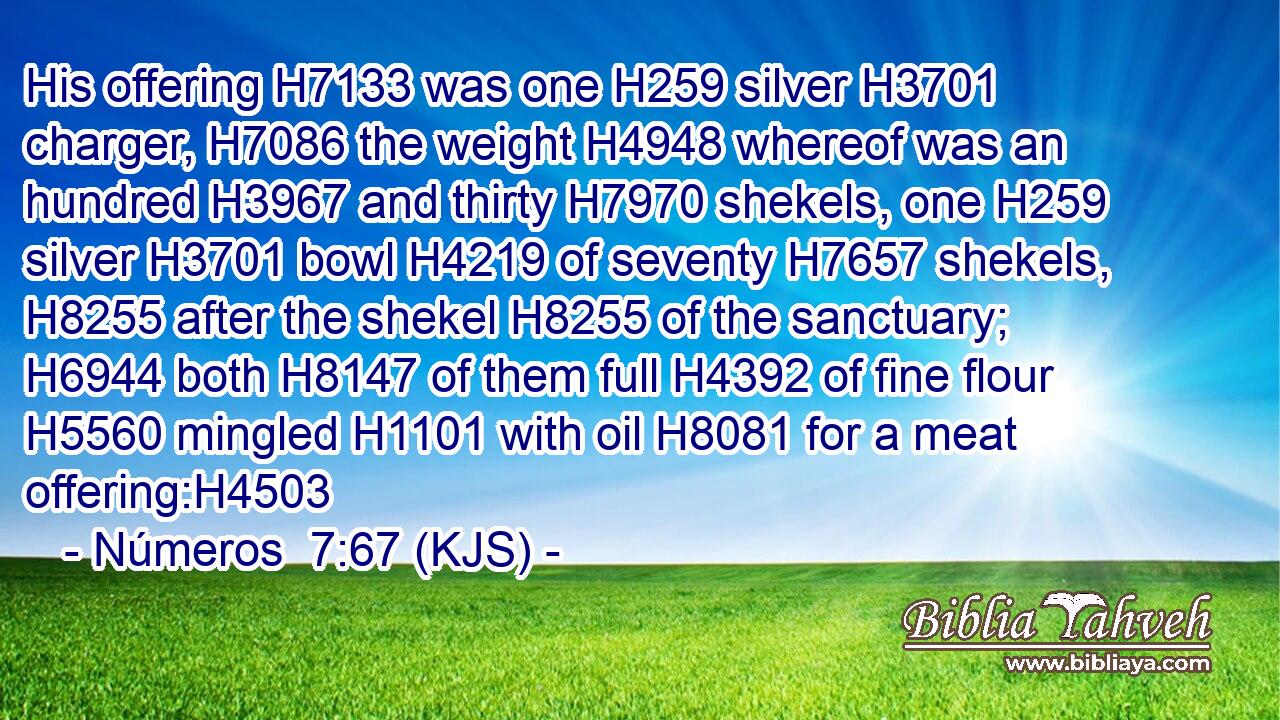 His offering H7133 was one H259 silver H3701 charger, H7086 the weight H4948 whereof was an hundred H3967 and thirty H7970 shekels, one H259 silver H3701 bowl H4219 of seventy H7657 shekels, H8255 after the shekel H8255 of the sanctuary; H6944 both H8147 of them full H4392 of fine flour H5560 mingled H1101 with oil H8081 for a meat offering:H4503
