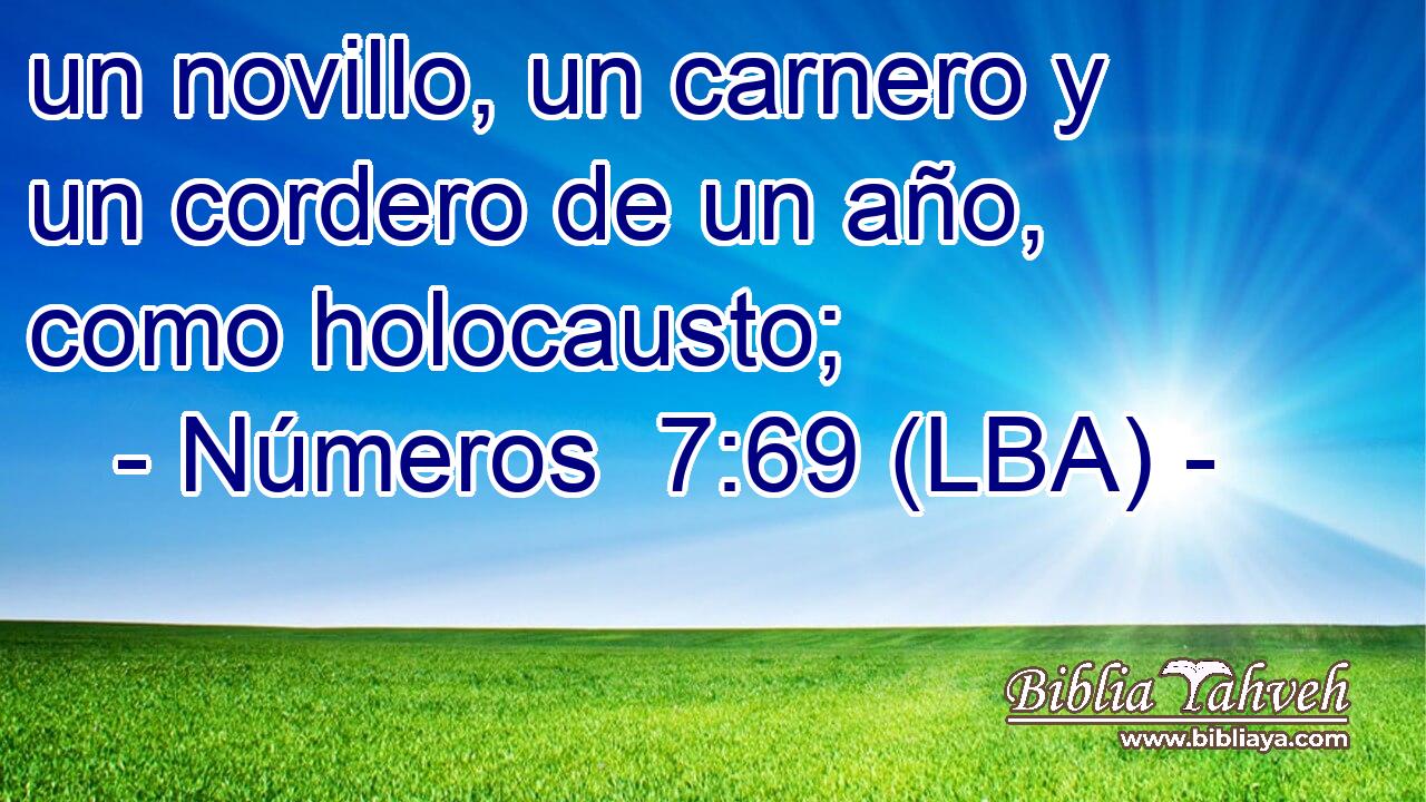 un novillo, un carnero y un cordero de un año, como holocausto;