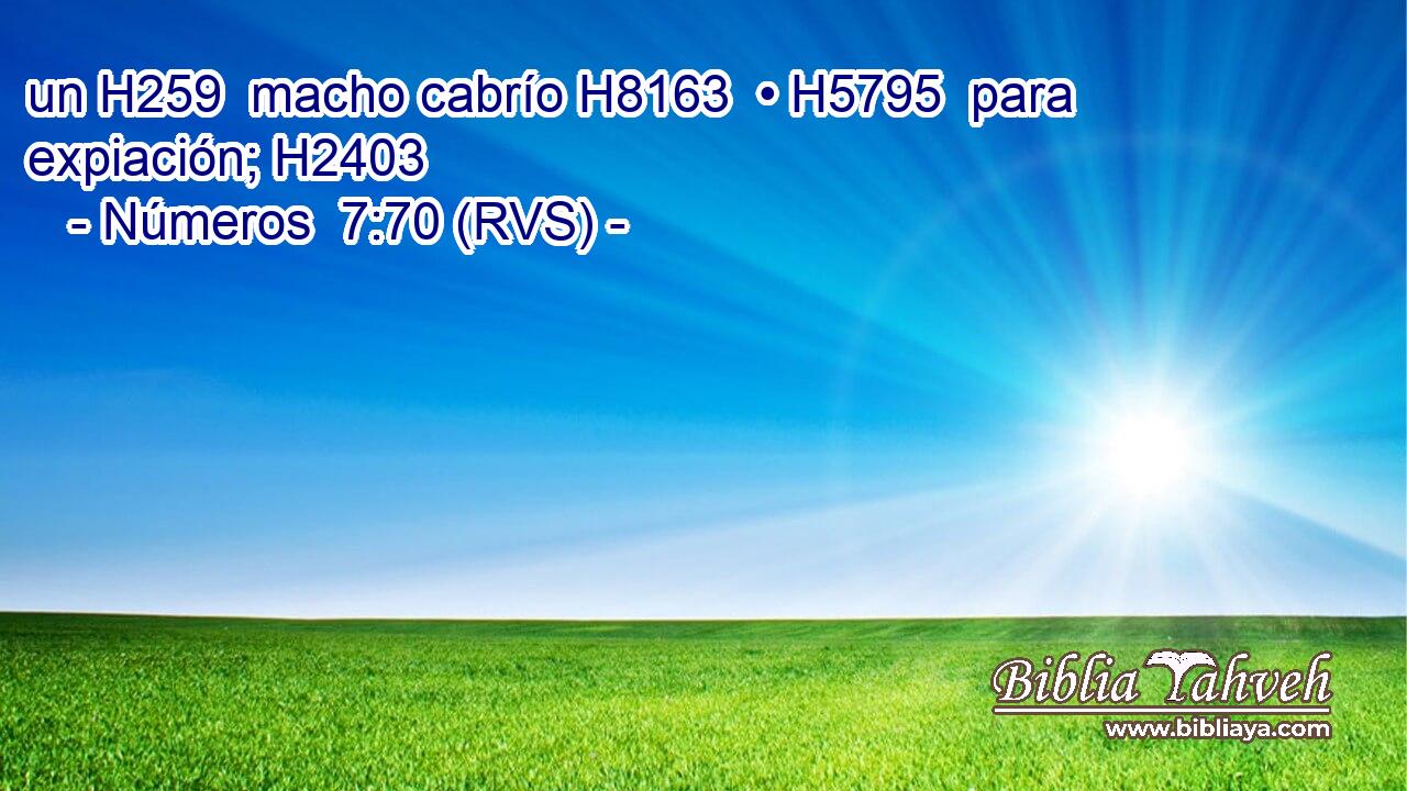 un H259  macho cabrío H8163  • H5795  para expiación; H2403  