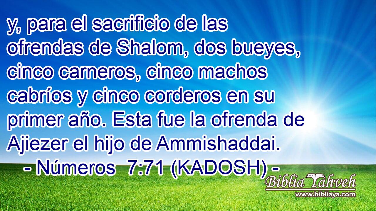  y, para el sacrificio de las ofrendas de Shalom, dos bueyes, cinco carneros, cinco machos cabríos y cinco corderos en su primer año. Esta fue la ofrenda de Ajiezer el hijo de Ammishaddai. 