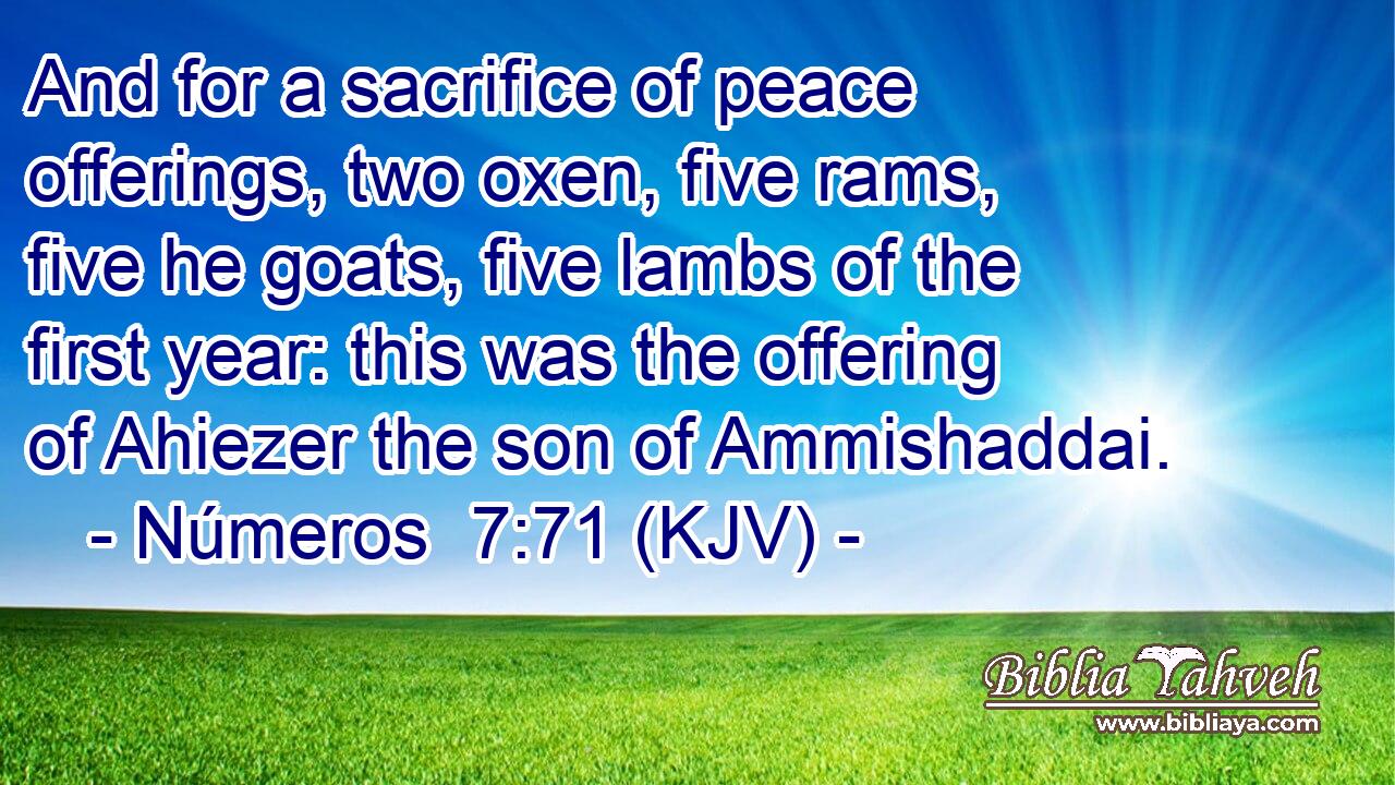 And for a sacrifice of peace offerings, two oxen, five rams, five he goats, five lambs of the first year: this was the offering of Ahiezer the son of Ammishaddai.