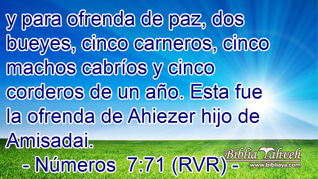 y para ofrenda de paz, dos bueyes, cinco carneros, cinco machos cabríos y cinco corderos de un año. Esta fue la ofrenda de Ahiezer hijo de Amisadai.