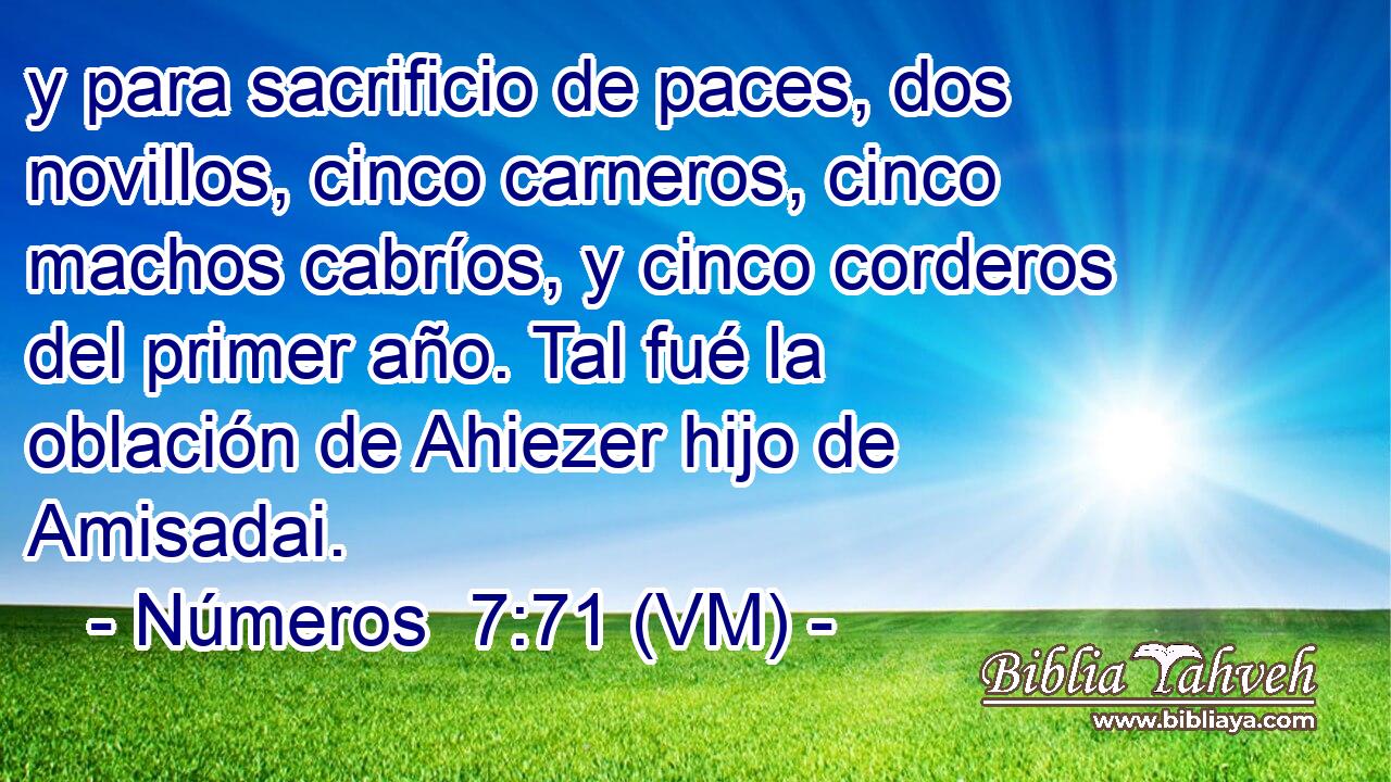  y para sacrificio de paces, dos novillos, cinco carneros, cinco machos cabríos, y cinco corderos del primer año. Tal fué la oblación de Ahiezer hijo de Amisadai. 