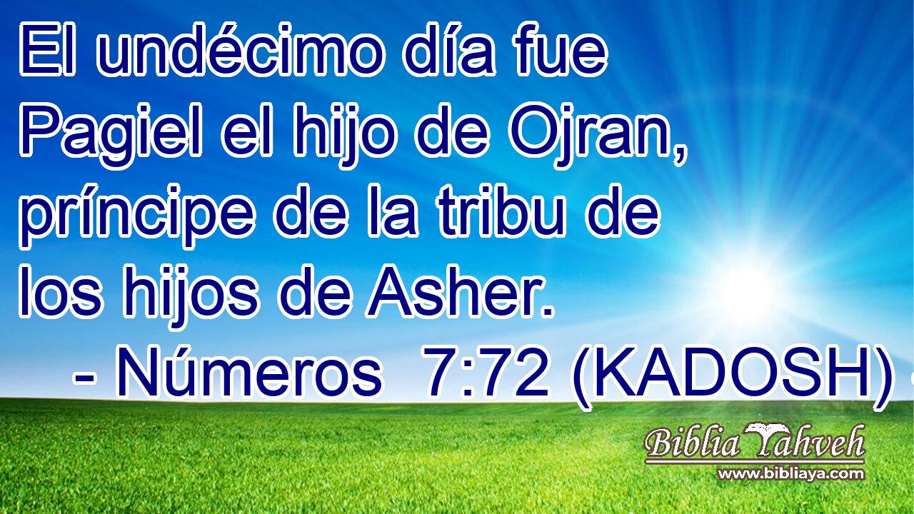  El undécimo día fue Pagiel el hijo de Ojran, príncipe de la tribu de los hijos de Asher. 
