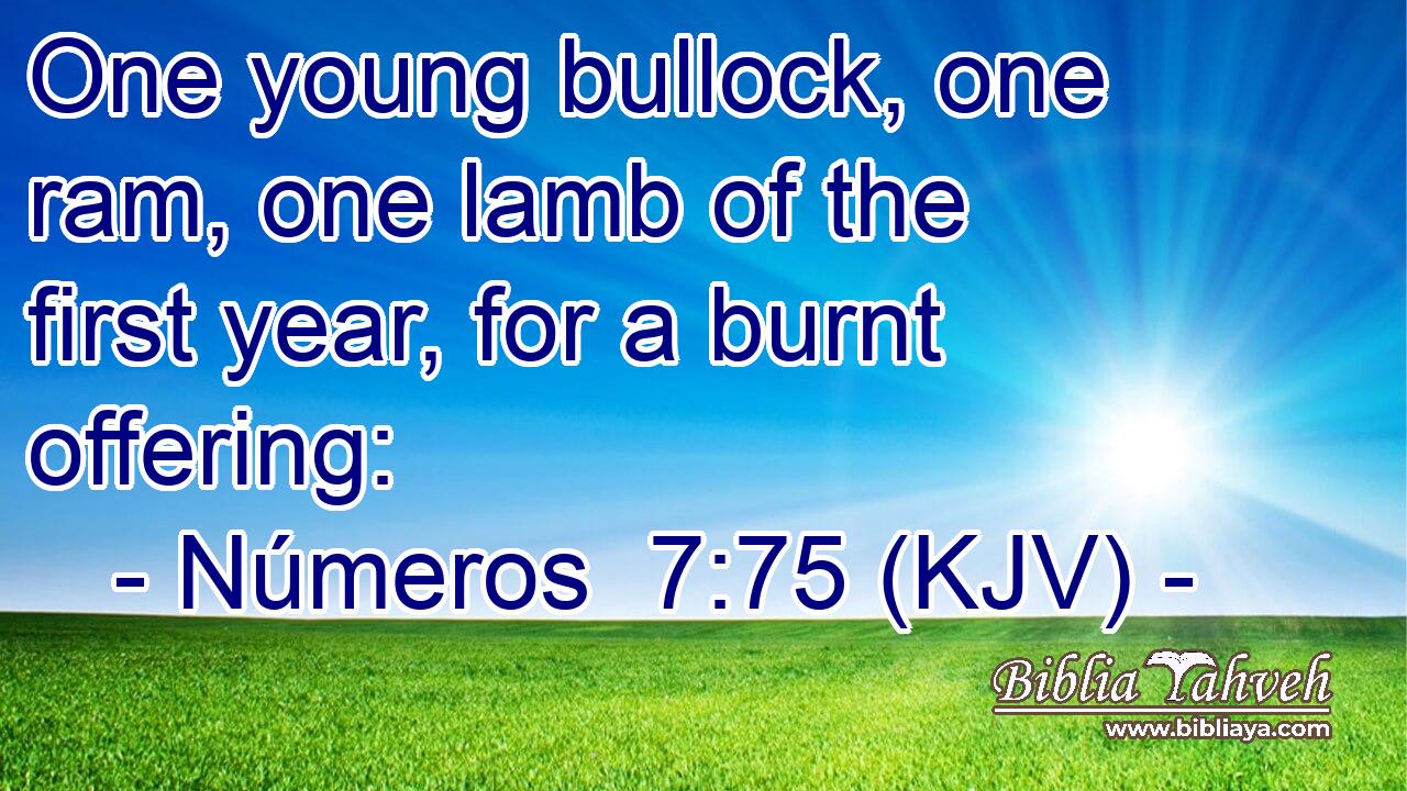 One young bullock, one ram, one lamb of the first year, for a burnt offering: