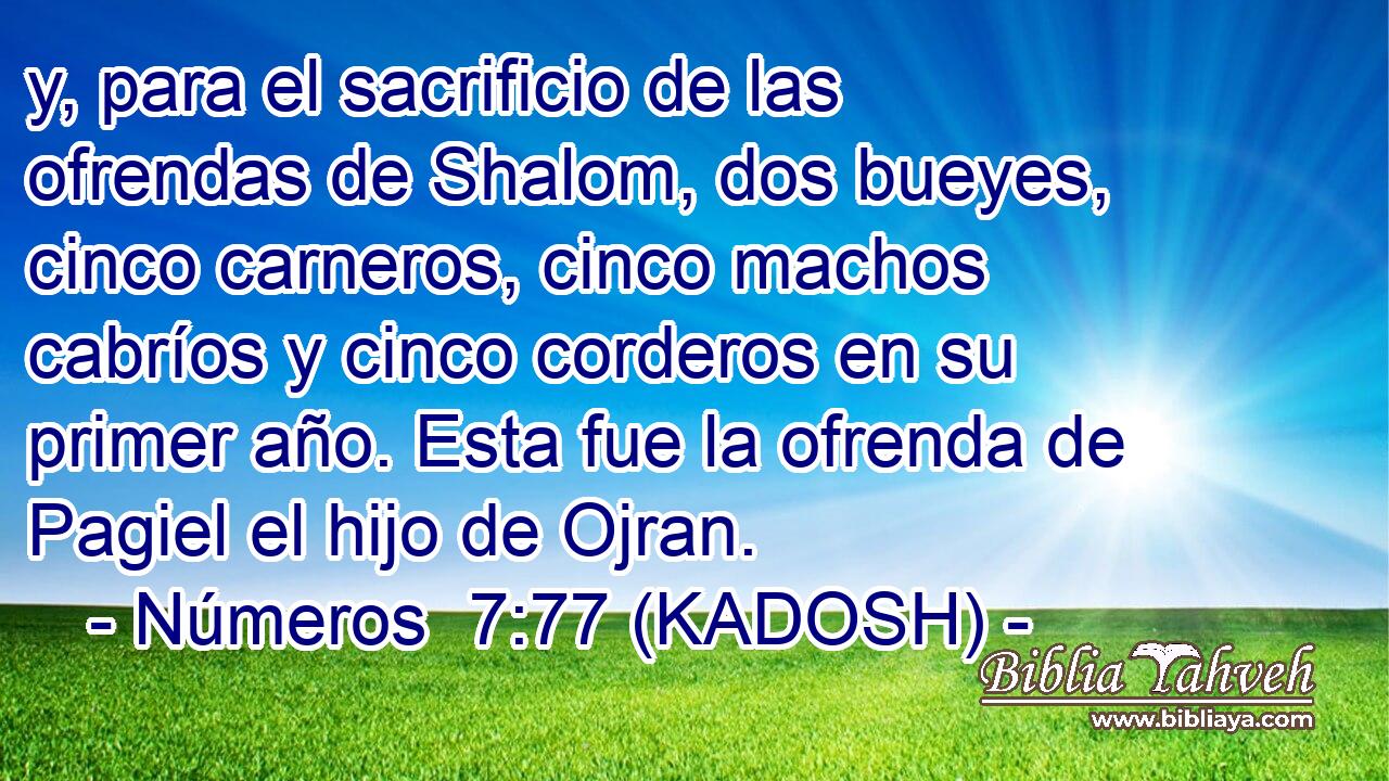  y, para el sacrificio de las ofrendas de Shalom, dos bueyes, cinco carneros, cinco machos cabríos y cinco corderos en su primer año. Esta fue la ofrenda de Pagiel el hijo de Ojran. 