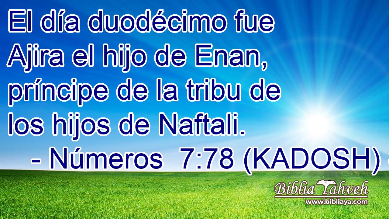  El día duodécimo fue Ajira el hijo de Enan, príncipe de la tribu de los hijos de Naftali. 