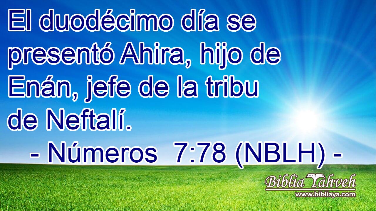  El duodécimo día se presentó Ahira, hijo de Enán, jefe de la tribu de Neftalí. 