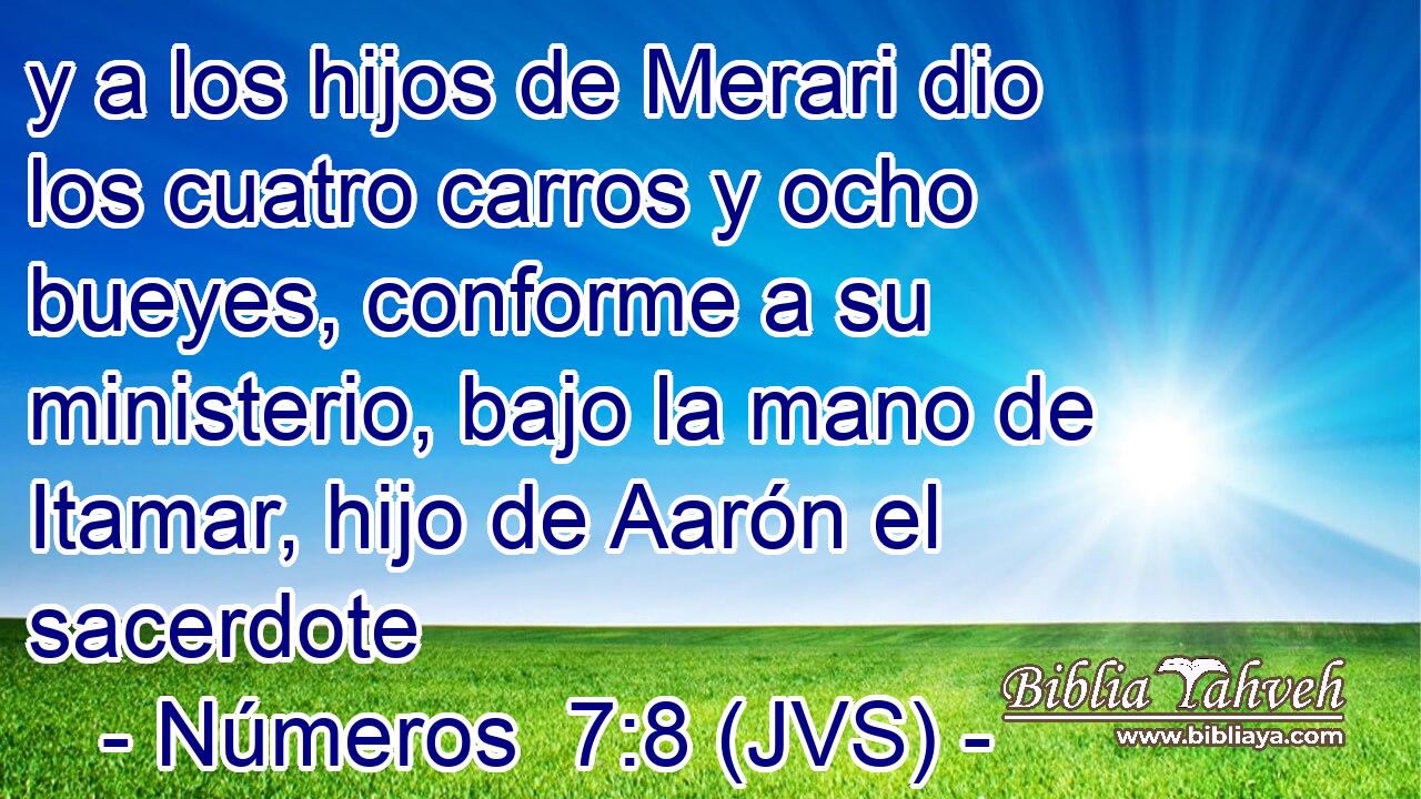 y a los hijos de Merari dio los cuatro carros y ocho bueyes, conforme a su ministerio, bajo la mano de Itamar, hijo de Aarón el sacerdote