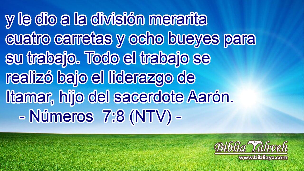 y le dio a la división merarita cuatro carretas y ocho bueyes para su trabajo. Todo el trabajo se realizó bajo el liderazgo de Itamar, hijo del sacerdote Aarón.