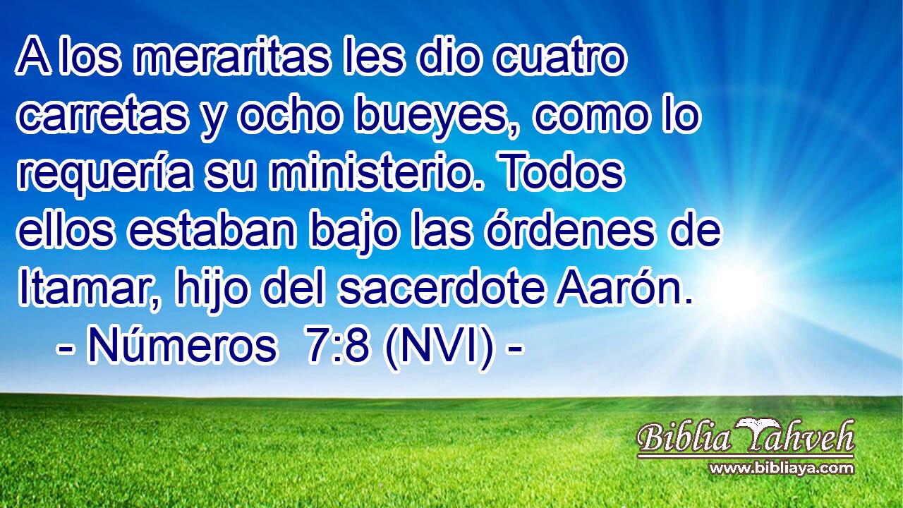  A los meraritas les dio cuatro carretas y ocho bueyes, como lo requería su ministerio. Todos ellos estaban bajo las órdenes de Itamar, hijo del sacerdote Aarón. 