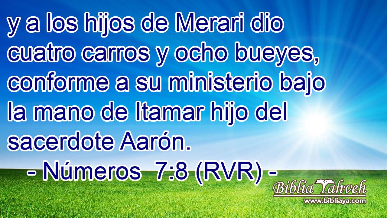 y a los hijos de Merari dio cuatro carros y ocho bueyes, conforme a su ministerio bajo la mano de Itamar hijo del sacerdote Aarón.