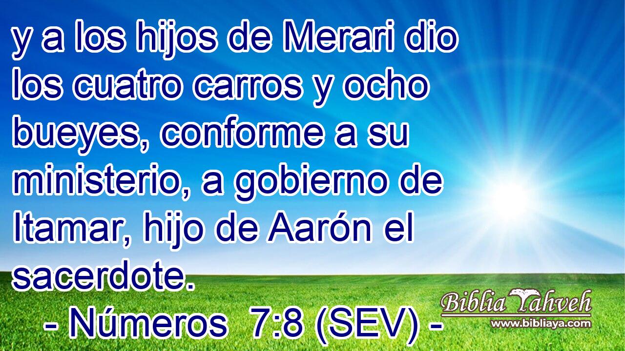 y a los hijos de Merari dio los cuatro carros y ocho bueyes, conforme a su ministerio, a gobierno de Itamar, hijo de Aarón el sacerdote.