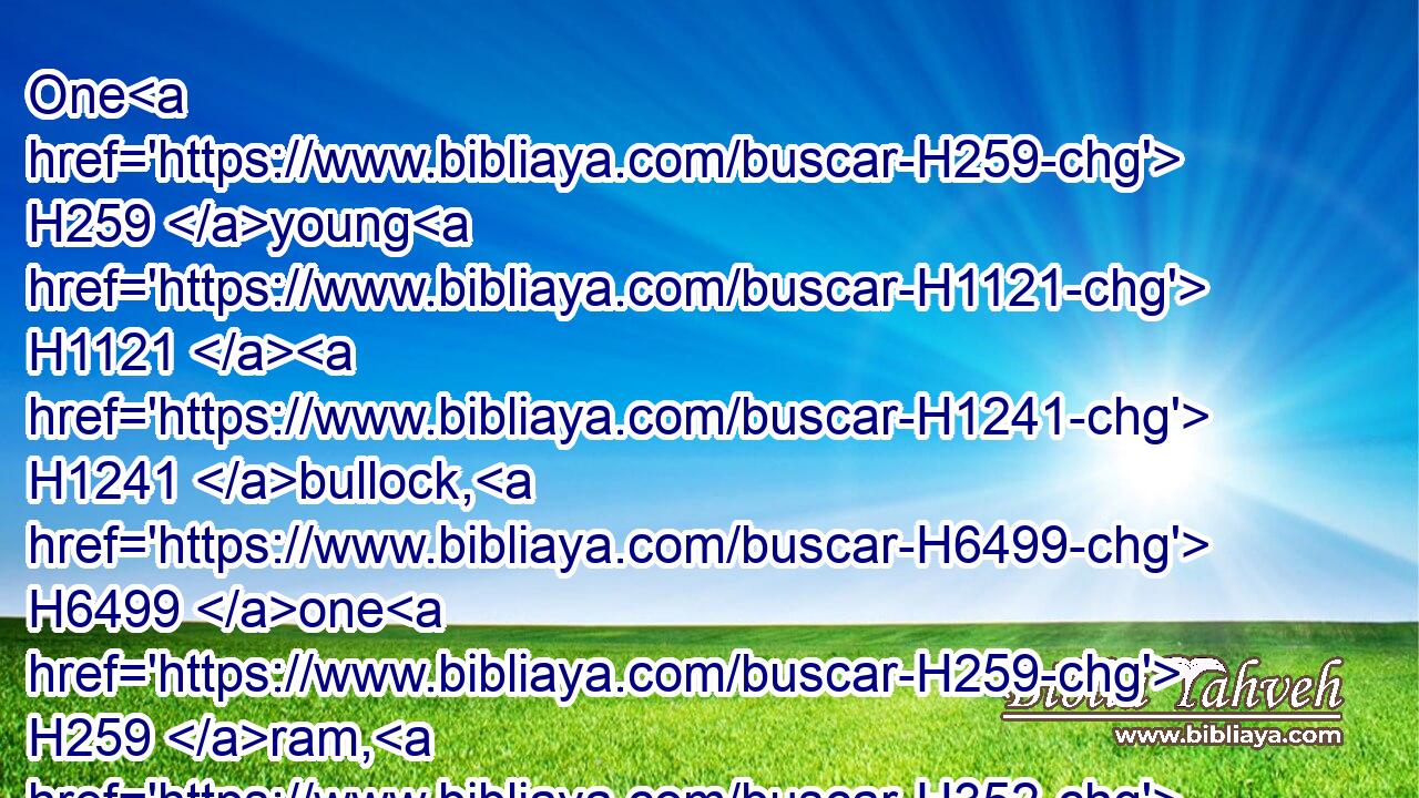One H259 young H1121  H1241 bullock, H6499 one H259 ram, H352 one H259 lamb H3532 of the first H1121 year, H8141 for a burnt offering:H5930