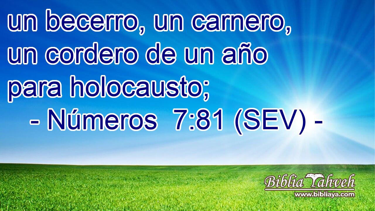 un becerro, un carnero, un cordero de un año para holocausto;