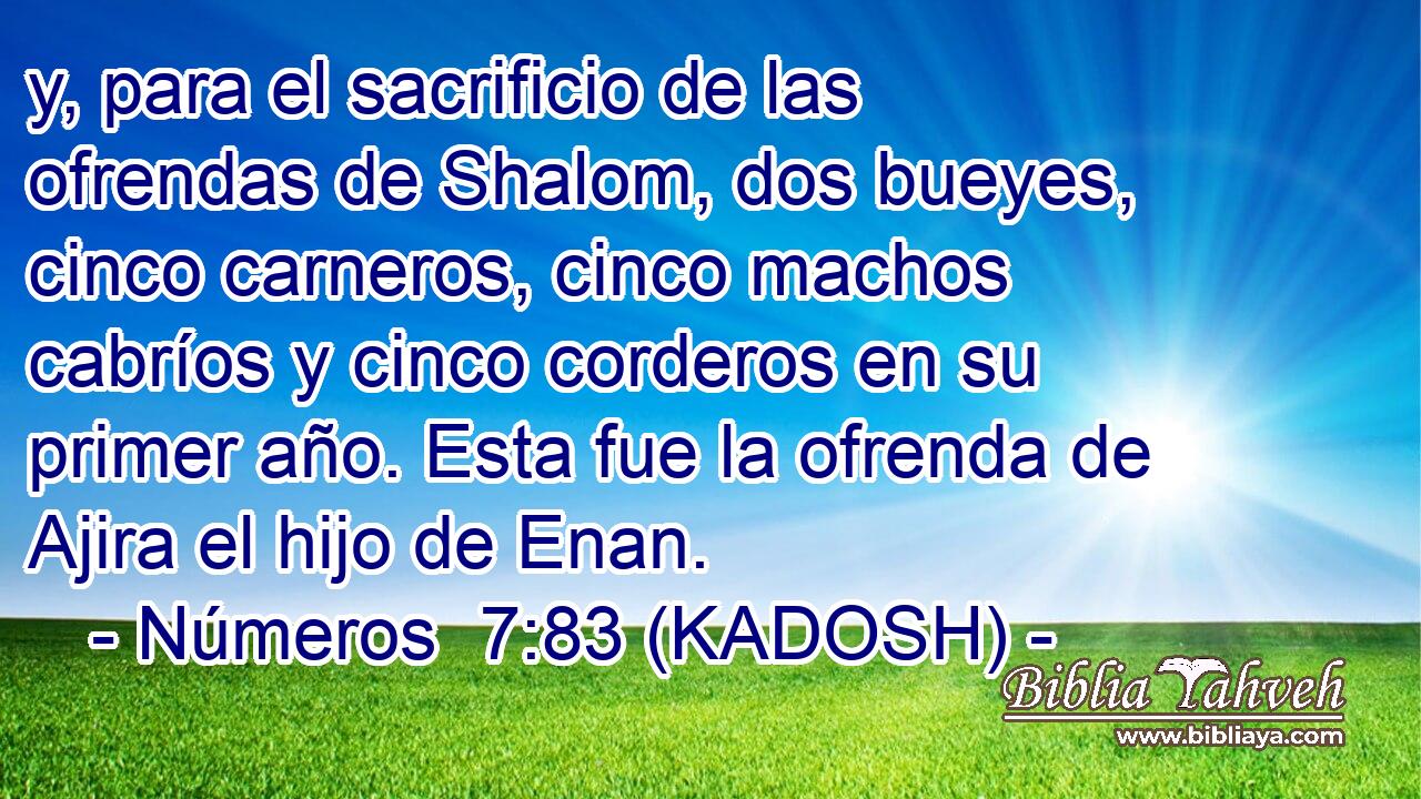  y, para el sacrificio de las ofrendas de Shalom, dos bueyes, cinco carneros, cinco machos cabríos y cinco corderos en su primer año. Esta fue la ofrenda de Ajira el hijo de Enan. 