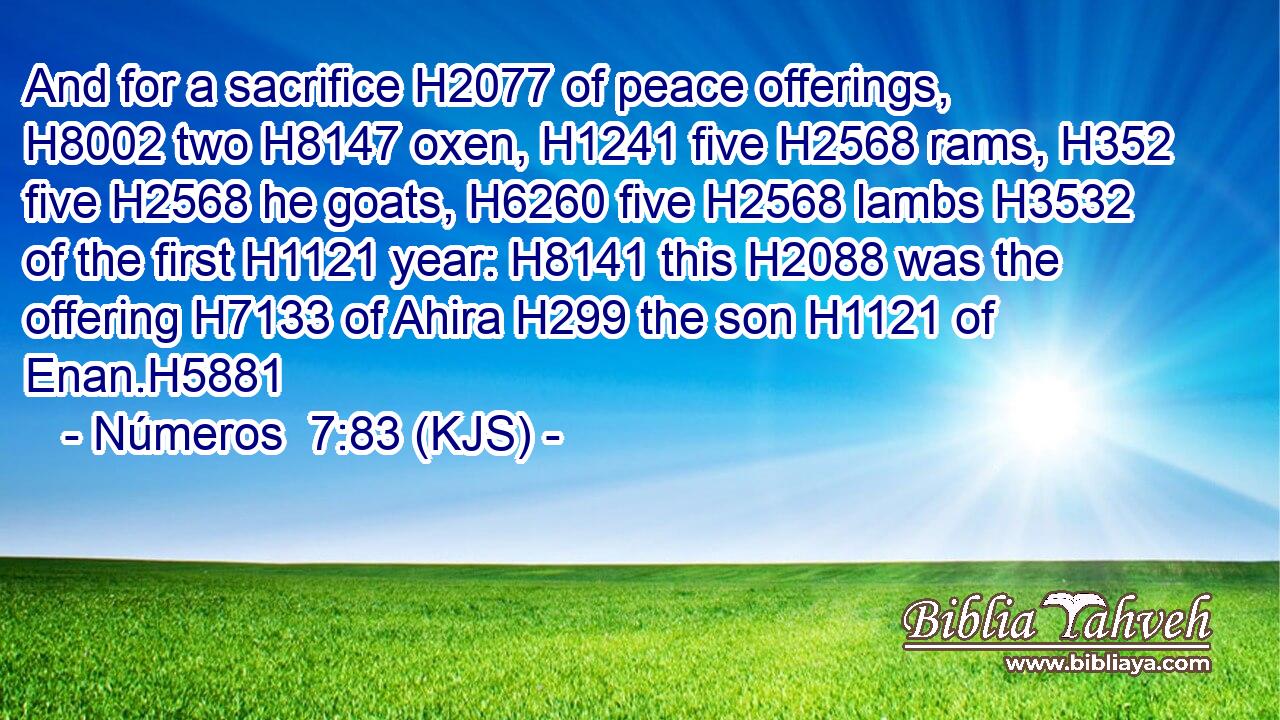 And for a sacrifice H2077 of peace offerings, H8002 two H8147 oxen, H1241 five H2568 rams, H352 five H2568 he goats, H6260 five H2568 lambs H3532 of the first H1121 year: H8141 this H2088 was the offering H7133 of Ahira H299 the son H1121 of Enan.H5881
