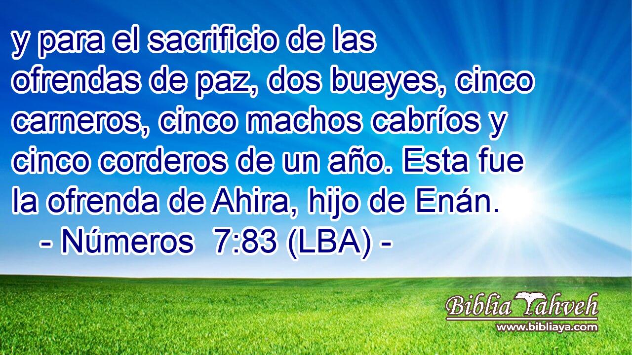 y para el sacrificio de las ofrendas de paz, dos bueyes, cinco carneros, cinco machos cabríos y cinco corderos de un año. Esta fue la ofrenda de Ahira, hijo de Enán.