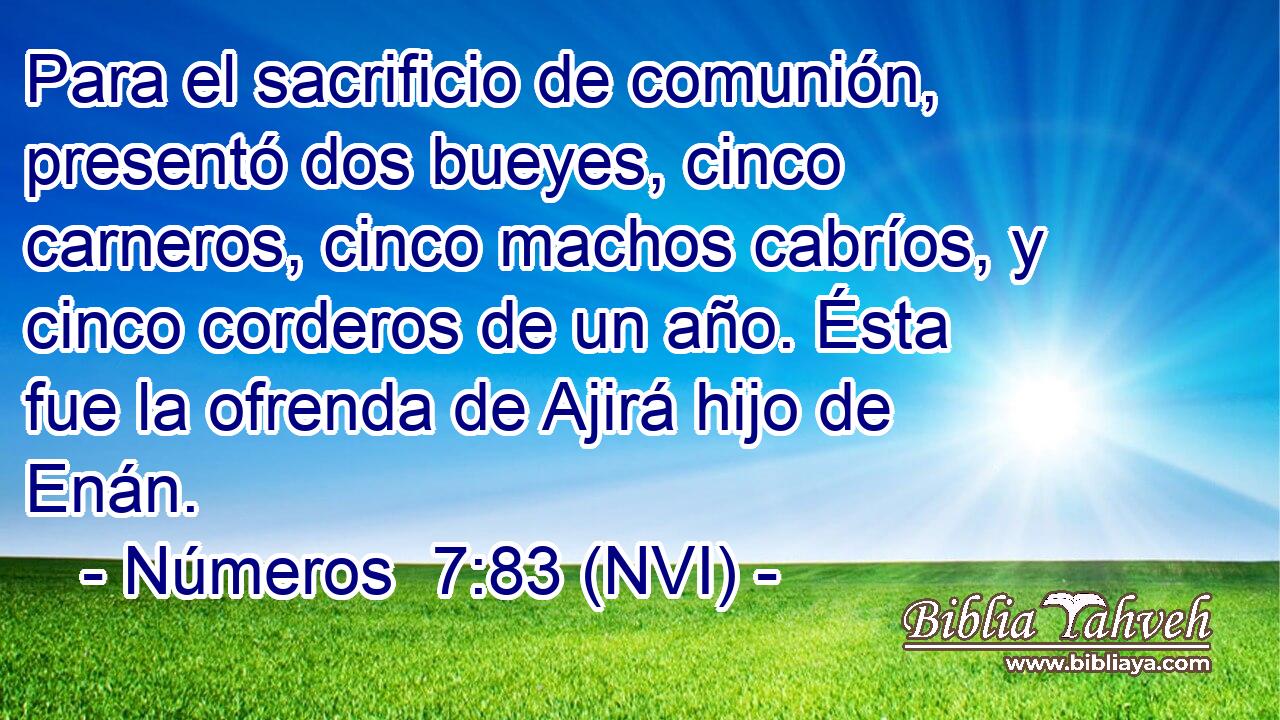  Para el sacrificio de comunión, presentó dos bueyes, cinco carneros, cinco machos cabríos, y cinco corderos de un año. Ésta fue la ofrenda de Ajirá hijo de Enán. 