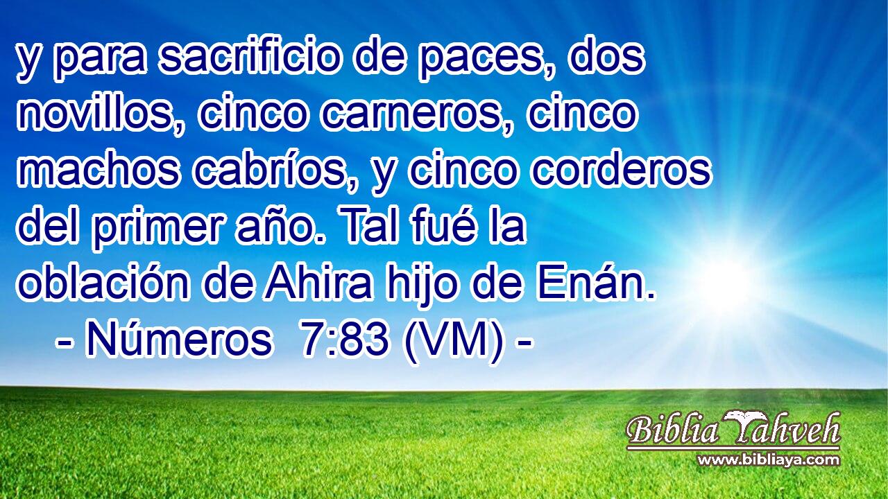  y para sacrificio de paces, dos novillos, cinco carneros, cinco machos cabríos, y cinco corderos del primer año. Tal fué la oblación de Ahira hijo de Enán. 