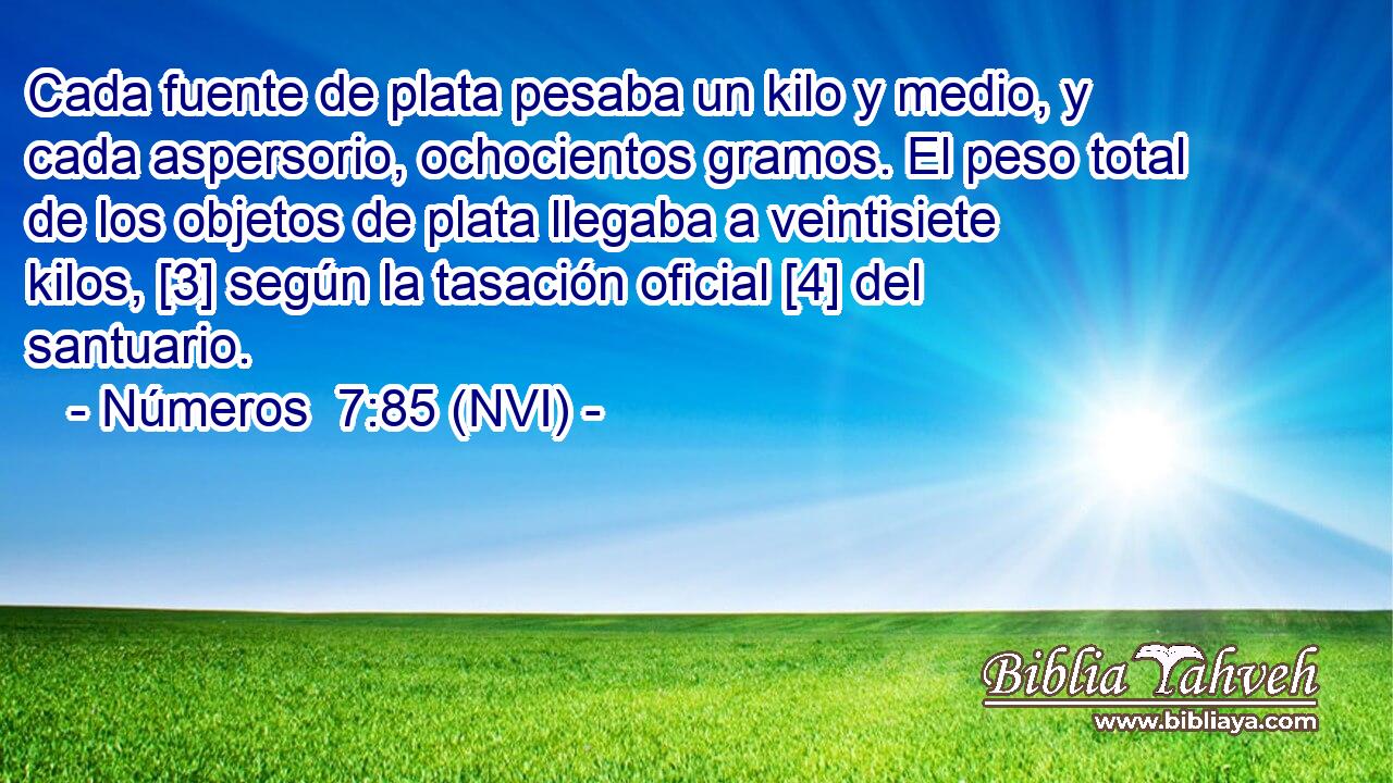  Cada fuente de plata pesaba un kilo y medio, y cada aspersorio, ochocientos gramos. El peso total de los objetos de plata llegaba a veintisiete kilos, [3] según la tasación oficial [4] del santuario. 